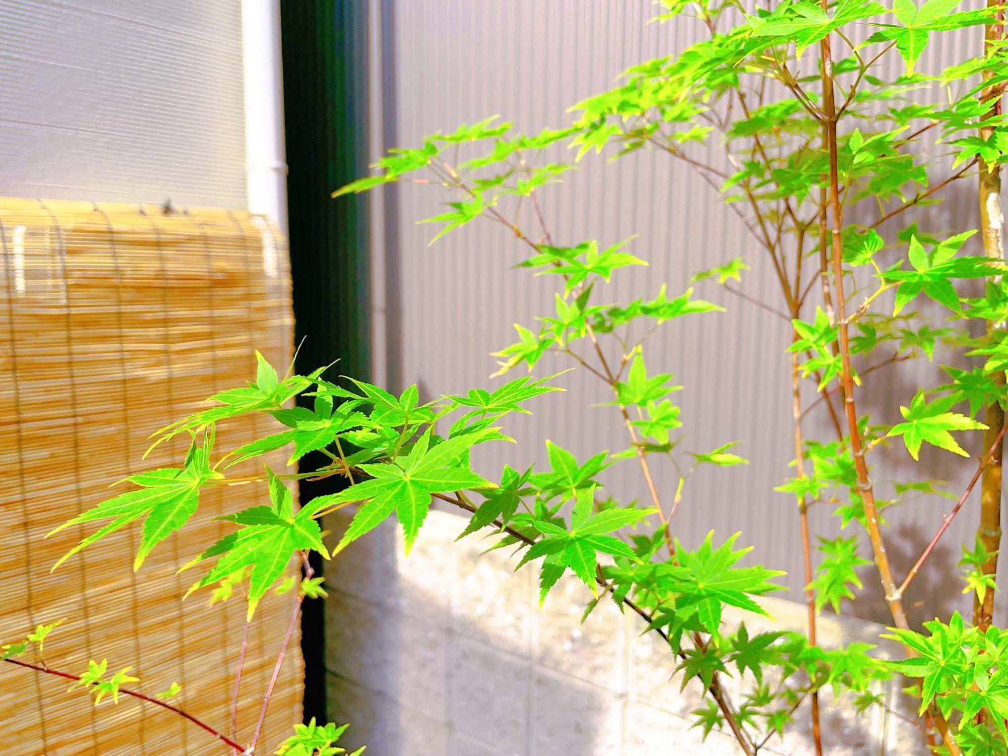 Suikakan Heianjingumae 酔花間 Kyoto Extérieur photo